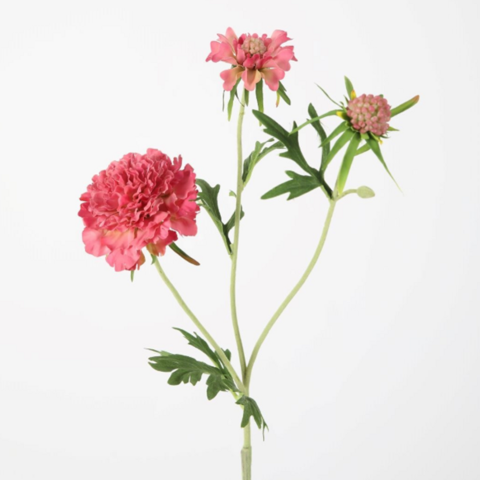 -- C&G - Diamond Scabiosa Spray 72cm rose