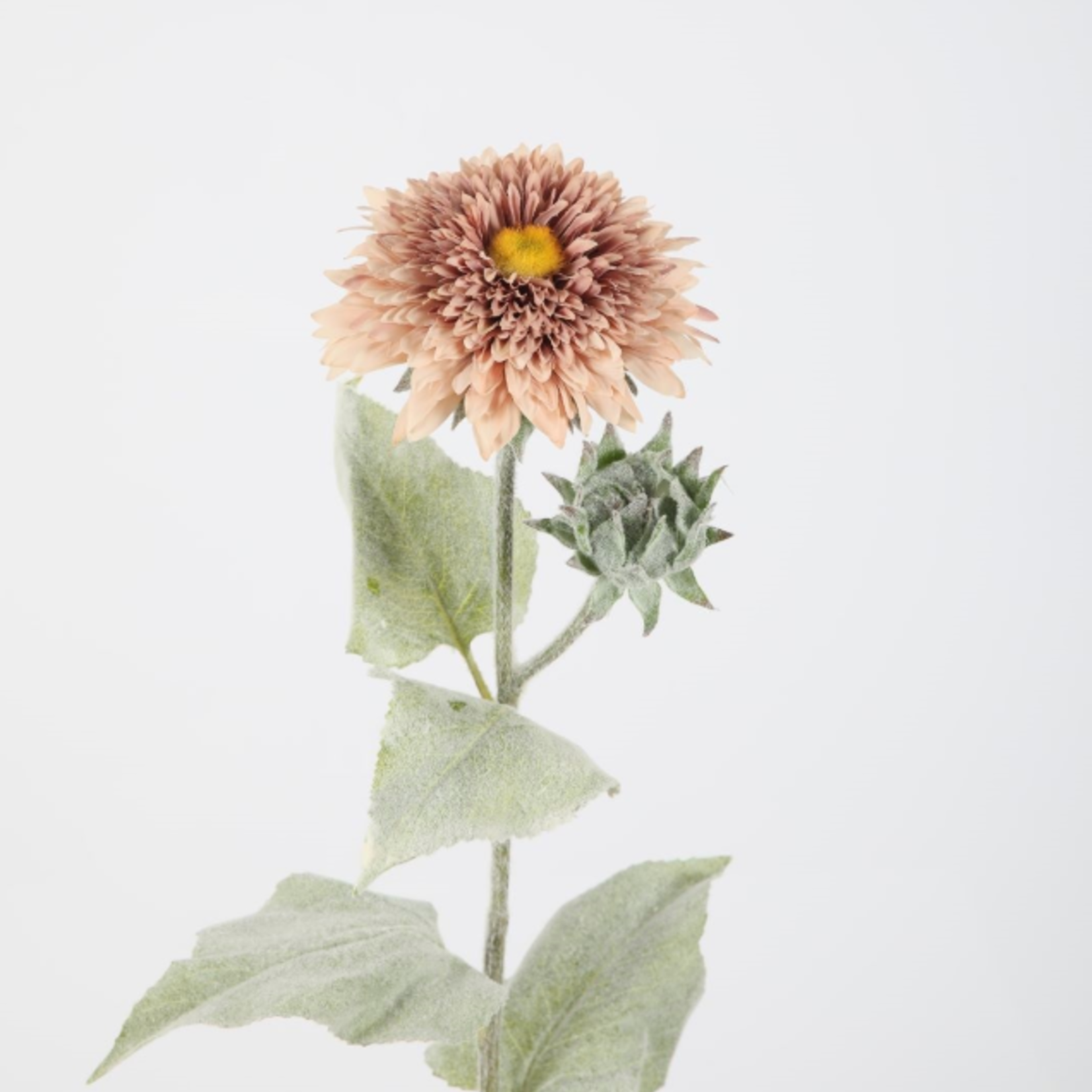 -- C&G - Mum spray 74cm mauve