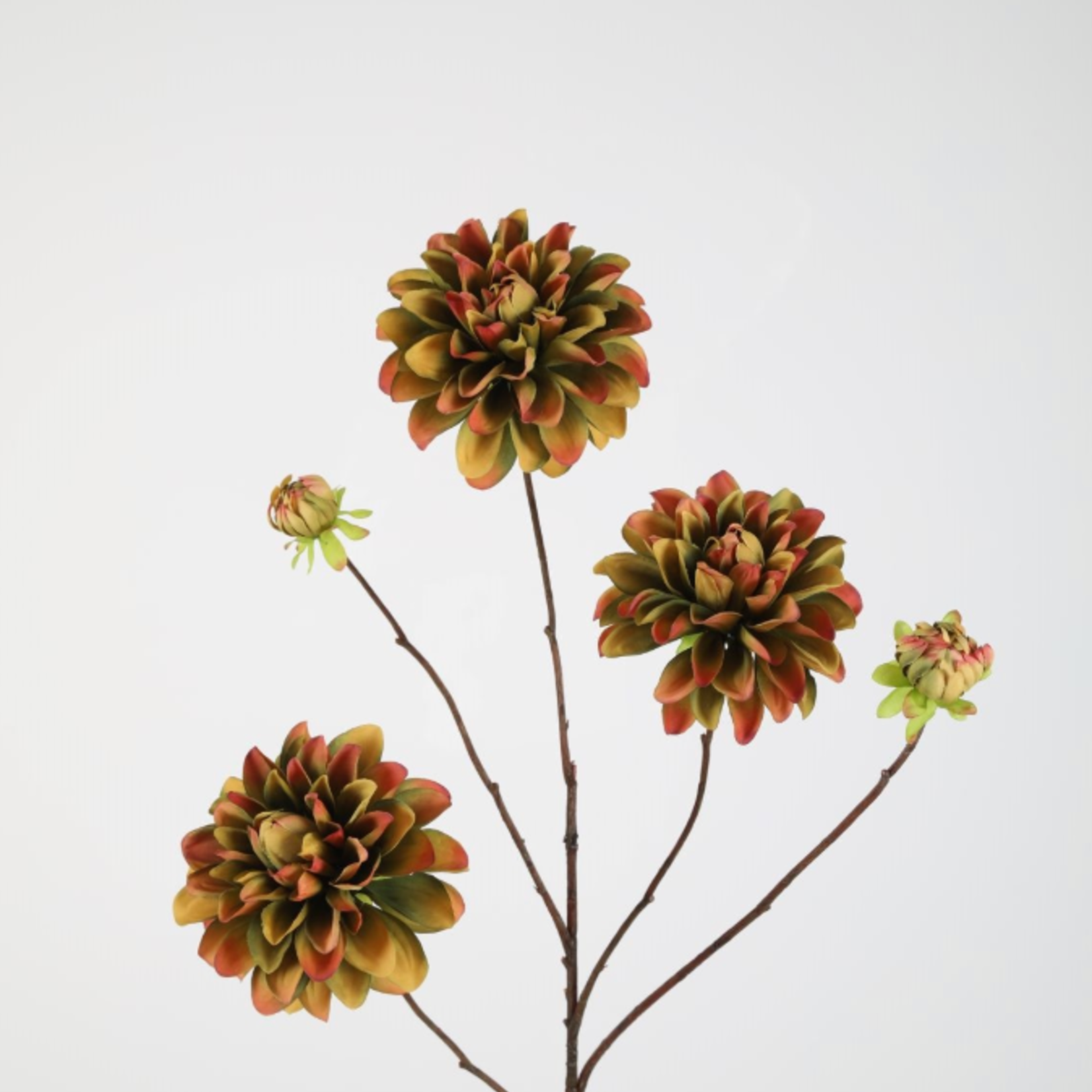 -- C&G- Dahlia Spray x5 90cm groen/bruin/geel