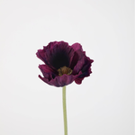 -- C&G - Poppy Stem 64cm donker paars