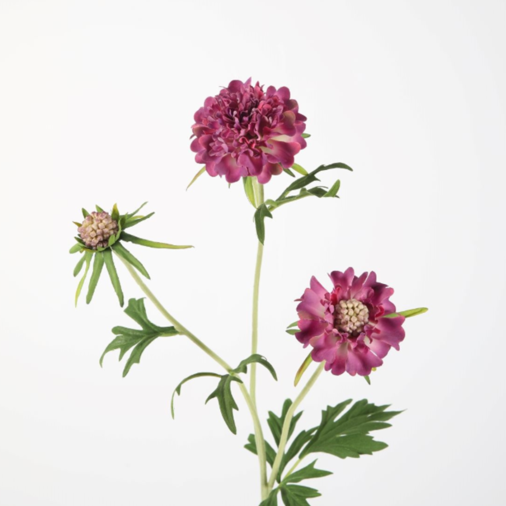 -- C&G - Diamond Scabiosa Spray 72cm paars/rose