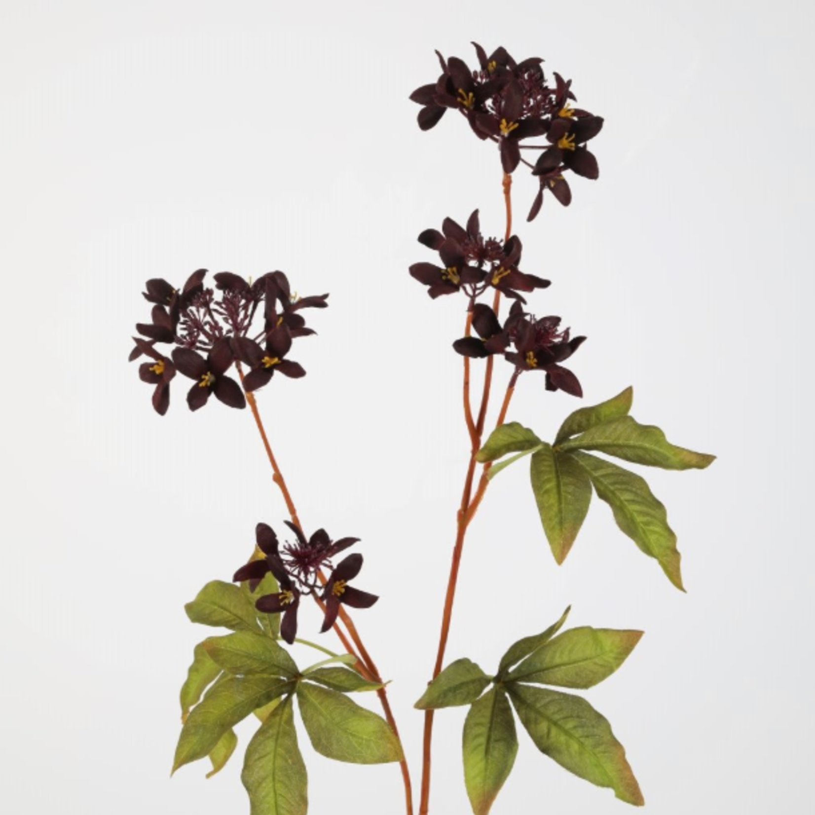 -- C&G - Wildflower Spray 95cm bordeaux rood