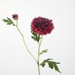 -- C&G - Mum Spray 71cm donkerpaars