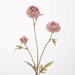 -- C&G - Zijdebloem Aster Stem 70cm lila/roze