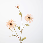 -- C&G - Daisy Spray 59cm zachtrose