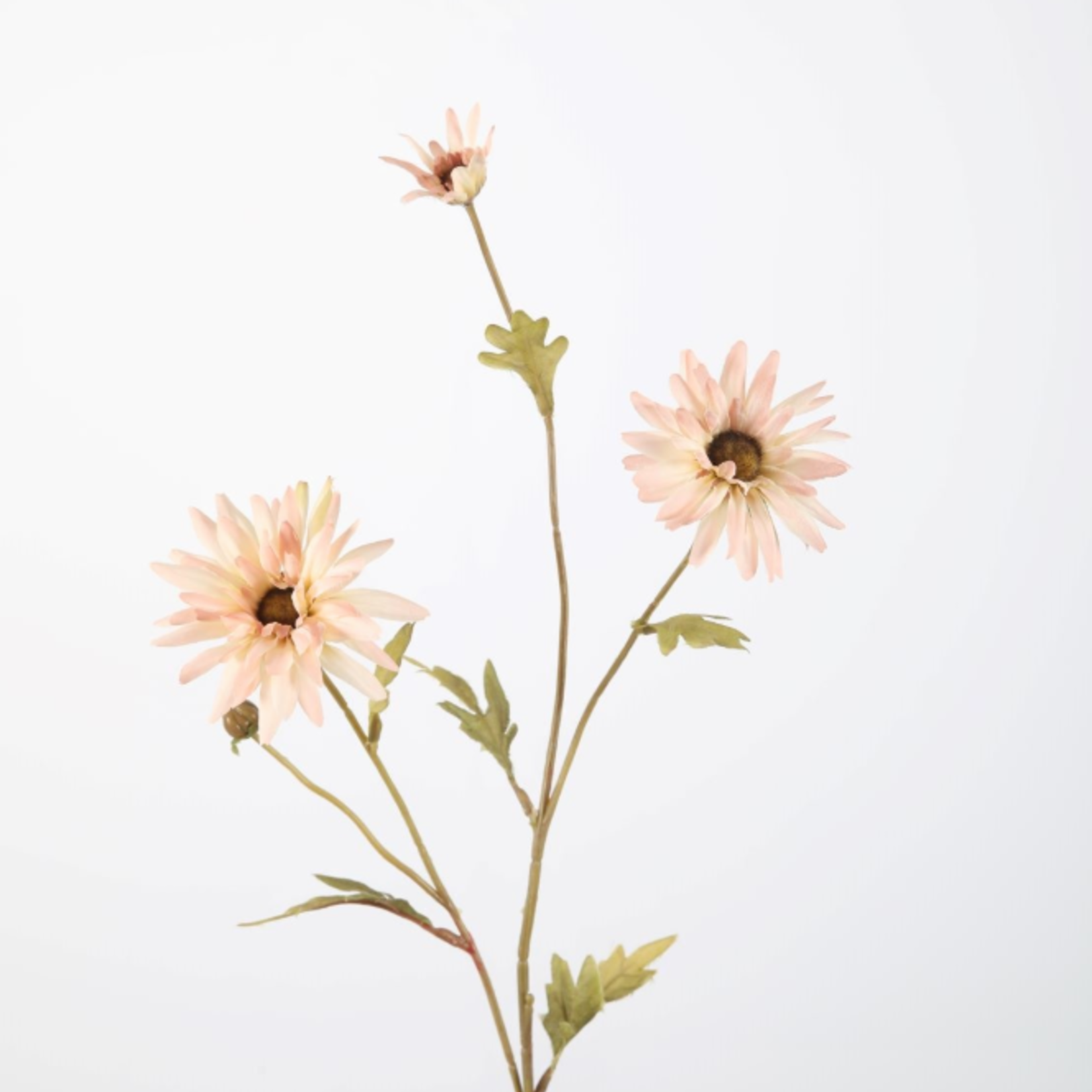 -- C&G - Daisy Spray 59cm zachtrose