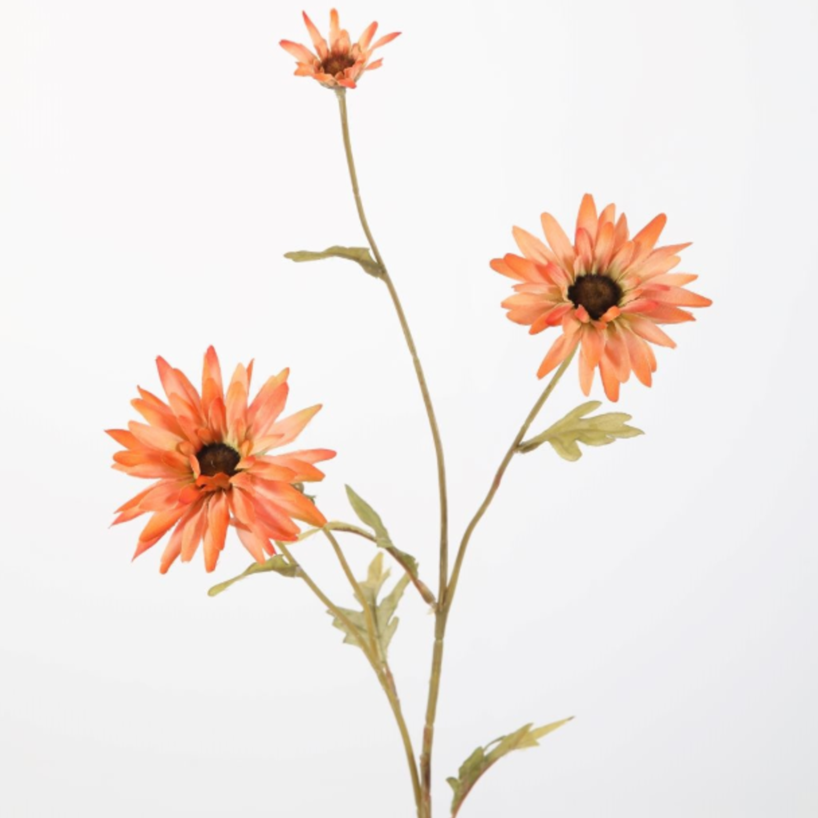 -- C&G - Daisy Spray 59cm zalmroze