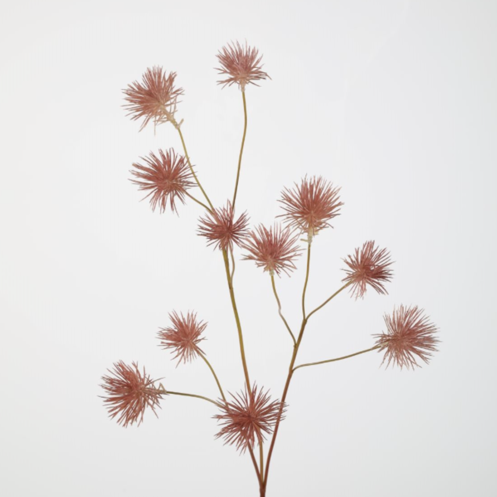 -- C&G - Albizia spray 86cm mauve
