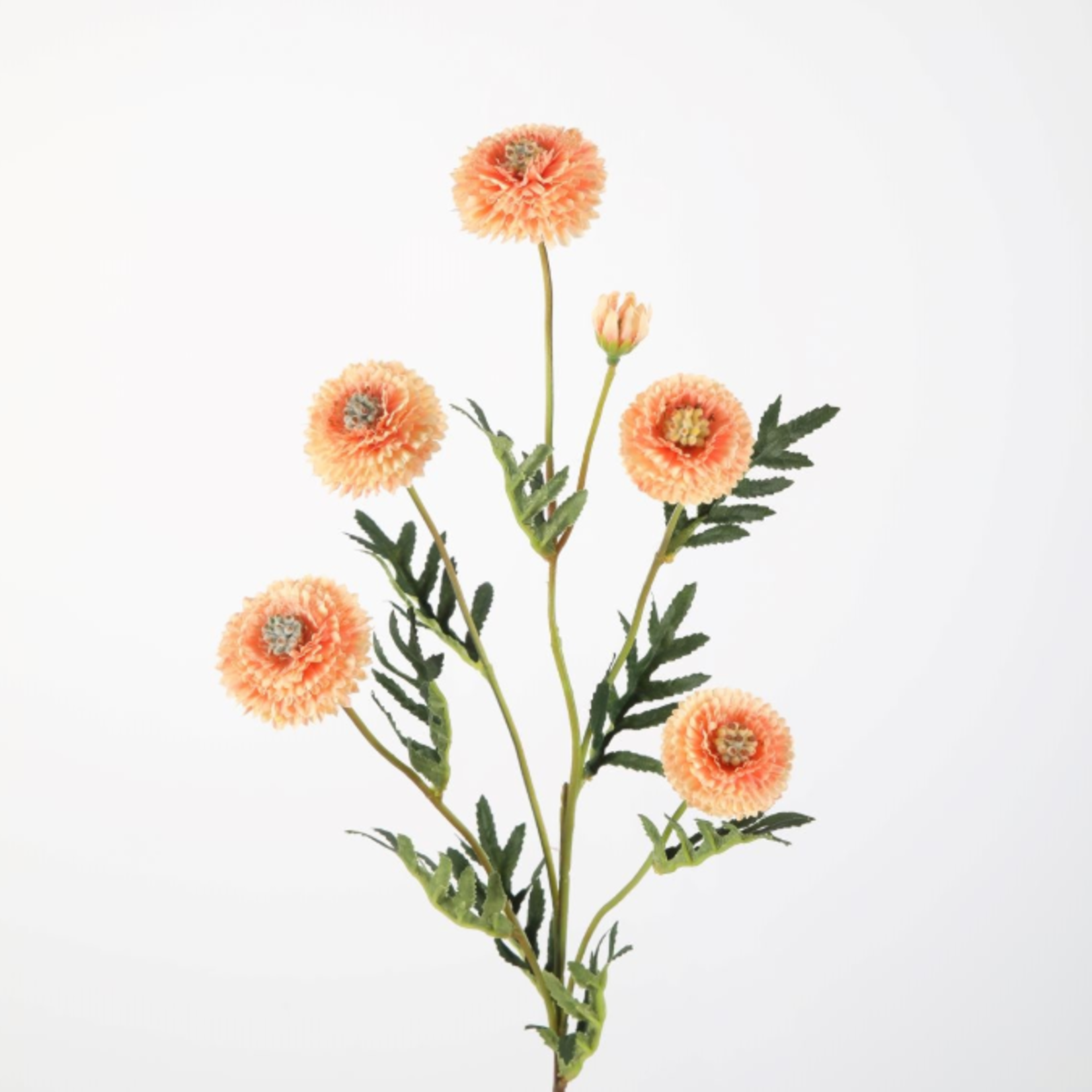 -- C&G - Mum pompon stem 72cm perzik