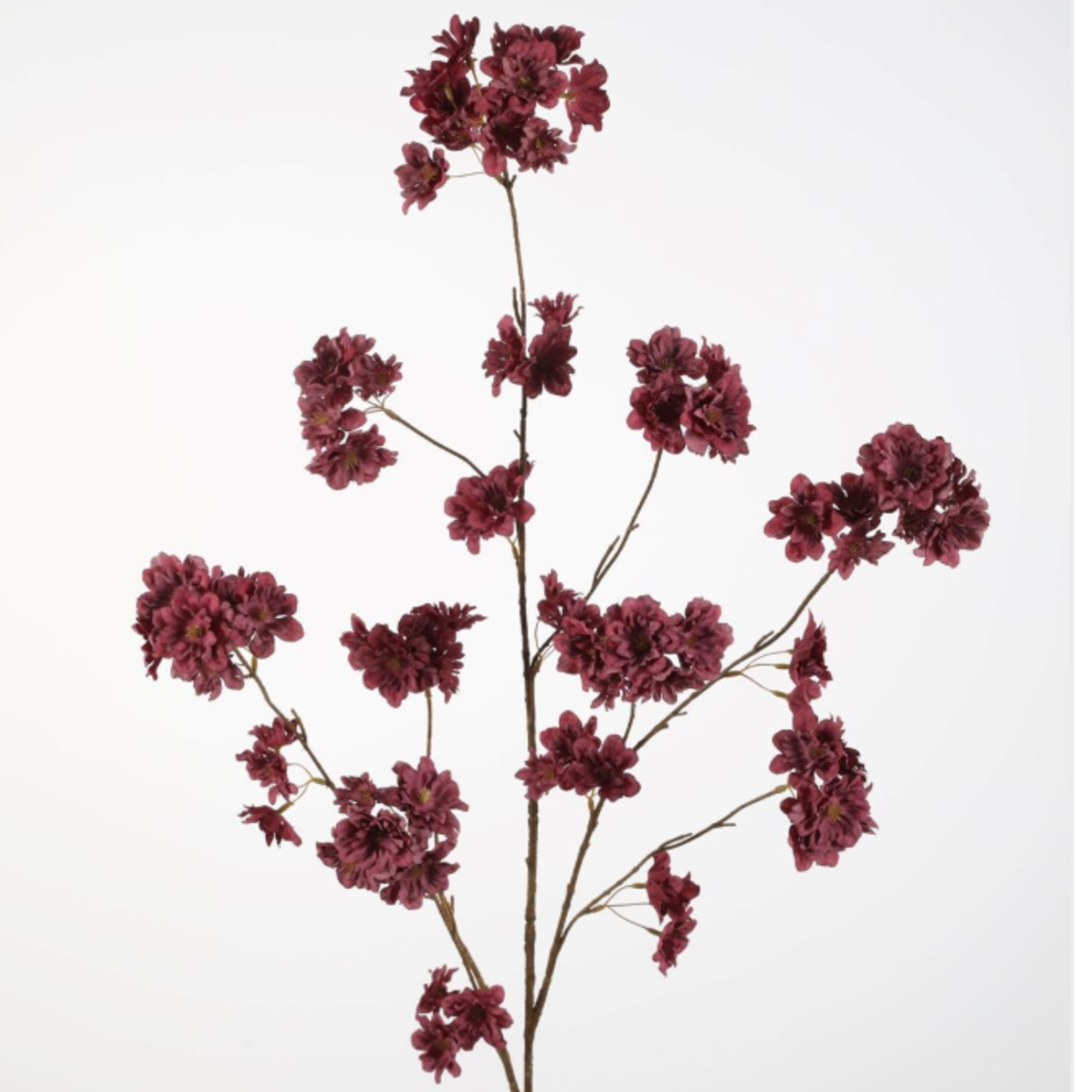 -- C&G - Cherry blossom spray 130cm donker paars