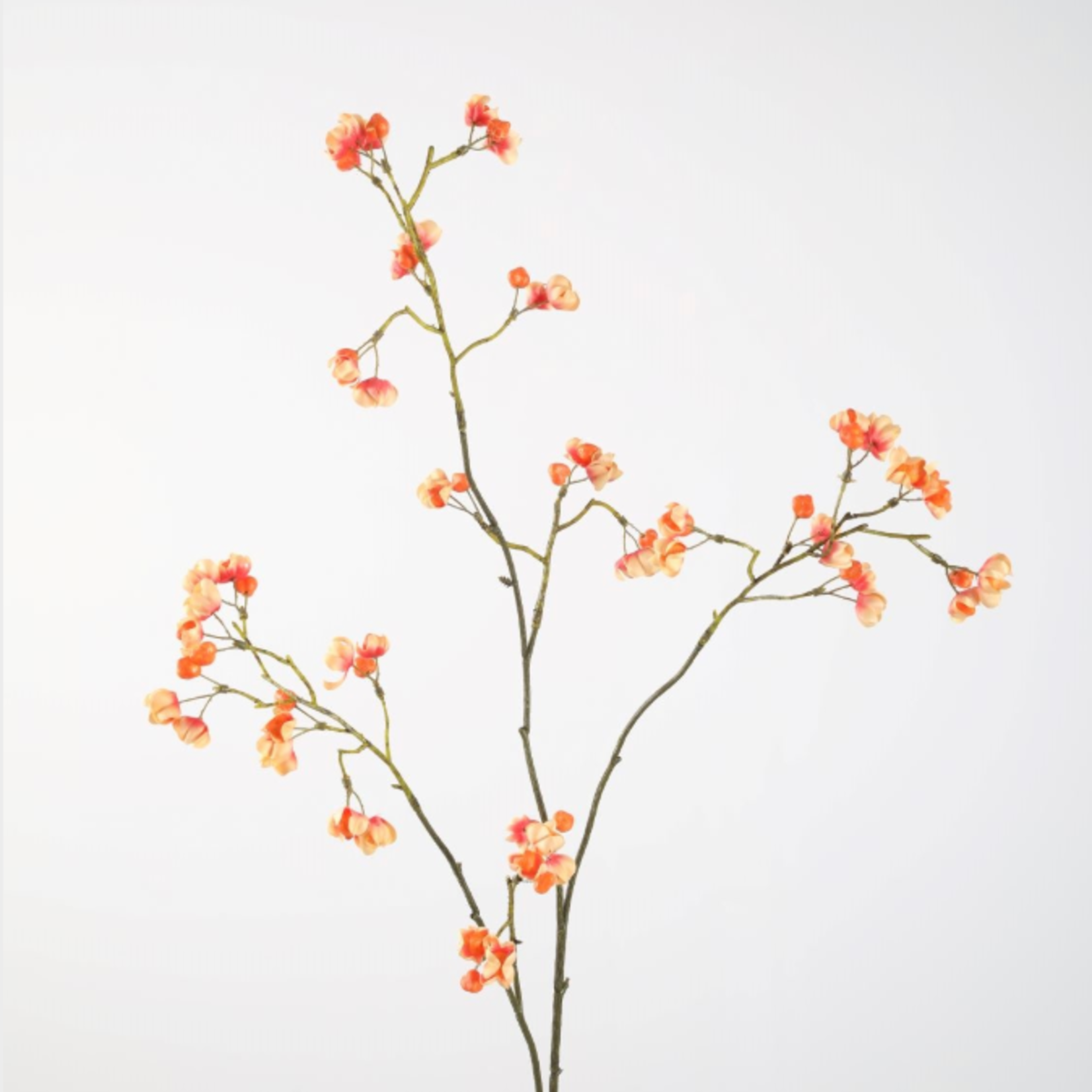 -- C&G - Bittersweet 92 cm oranje/geel