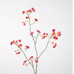 -- C&G - Bittersweet 92 cm fuchsiarood