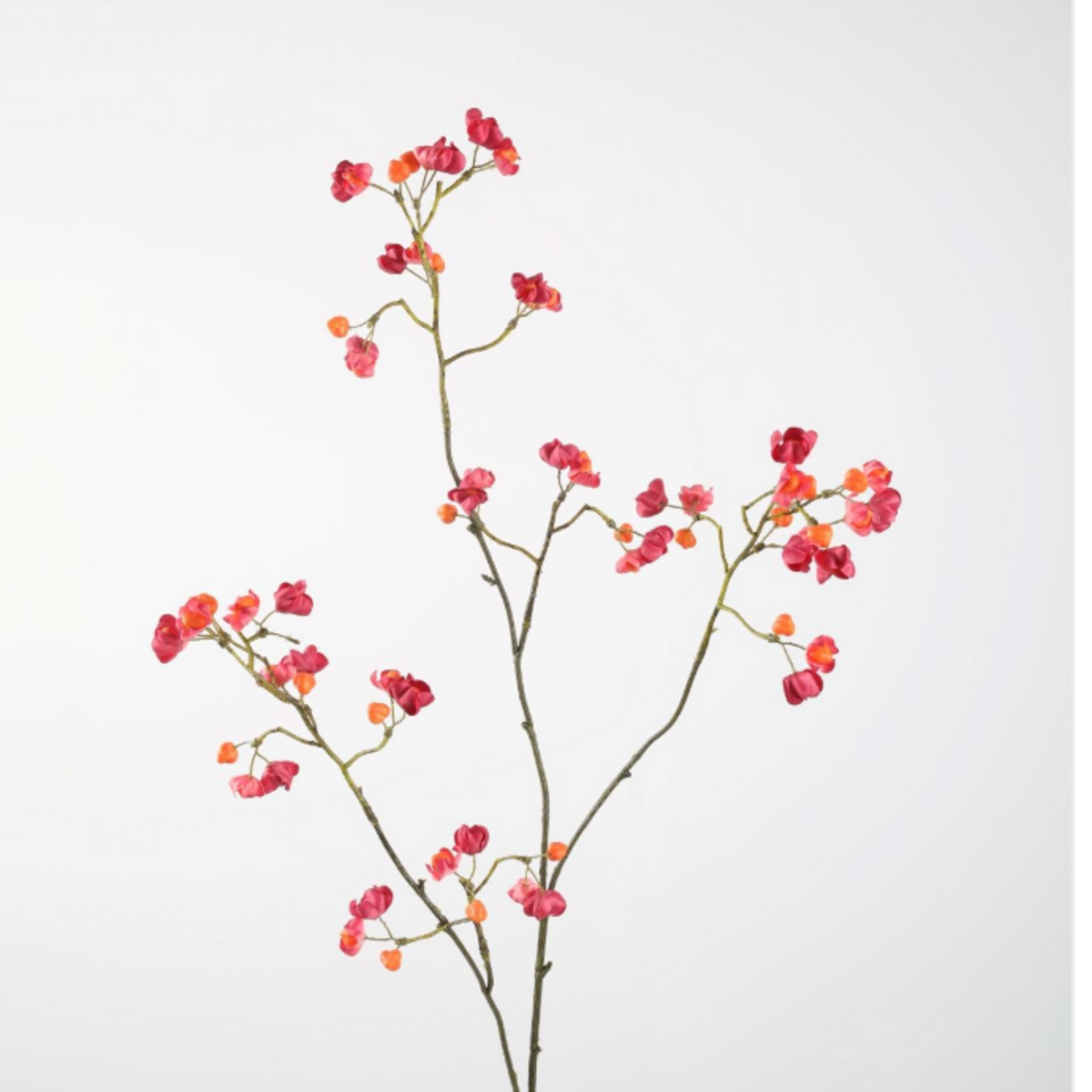 -- C&G - Bittersweet 92 cm fuchsiarood