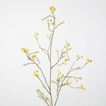 -- C&G - Berry spray 105cm geel