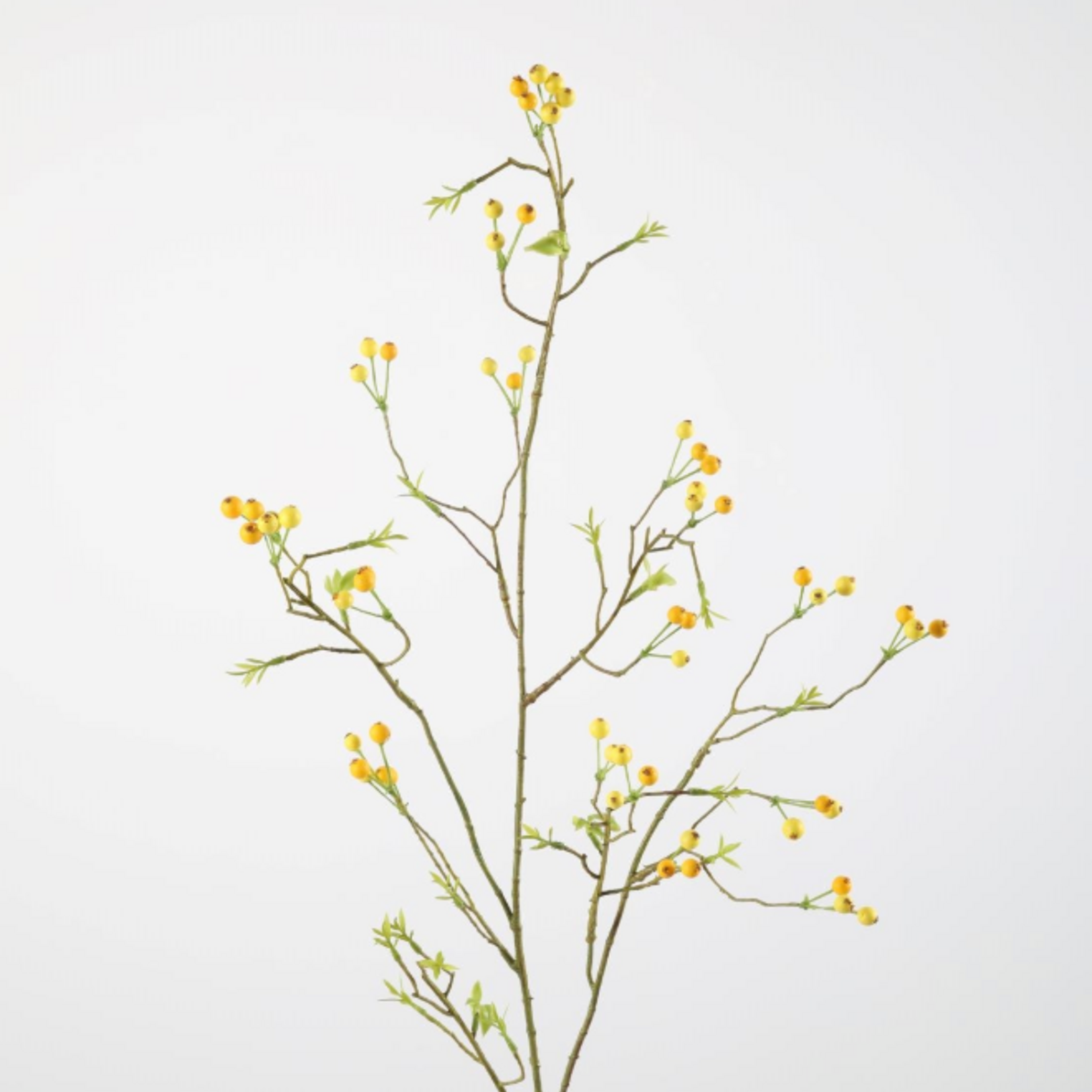 -- C&G - Berry spray 105cm geel