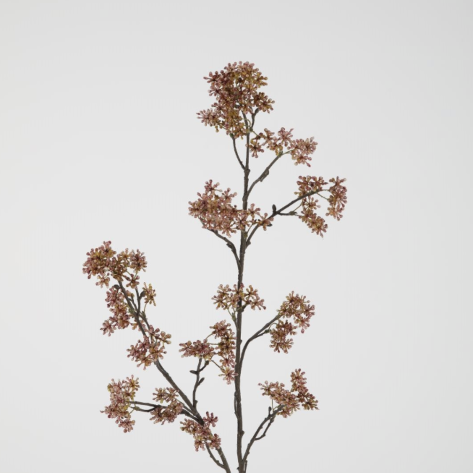 -- C&G - Berry 102cm aubergine