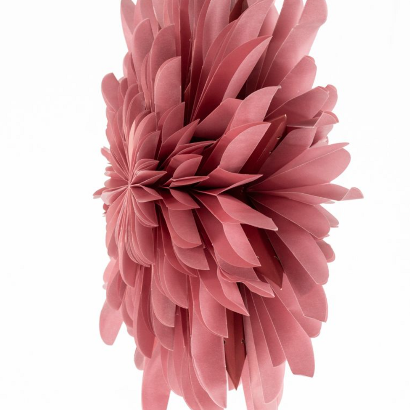 -- KERSTSTER - Snow pomegrenate 40cm met pendel