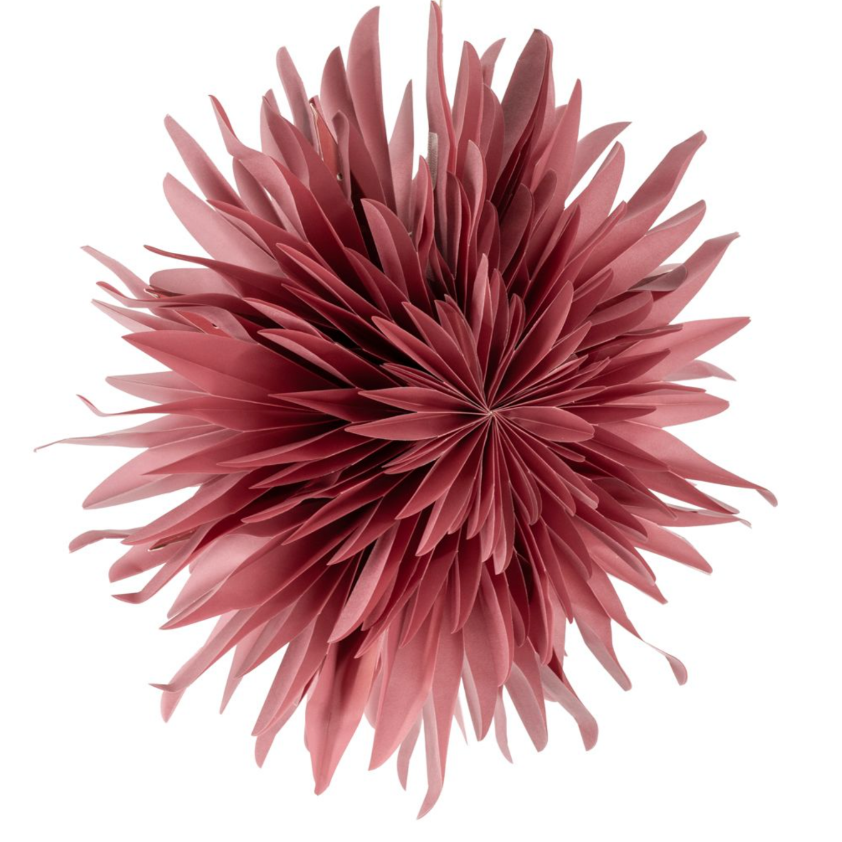 -- KERSTSTER - Snow pomegrenate 40cm met pendel