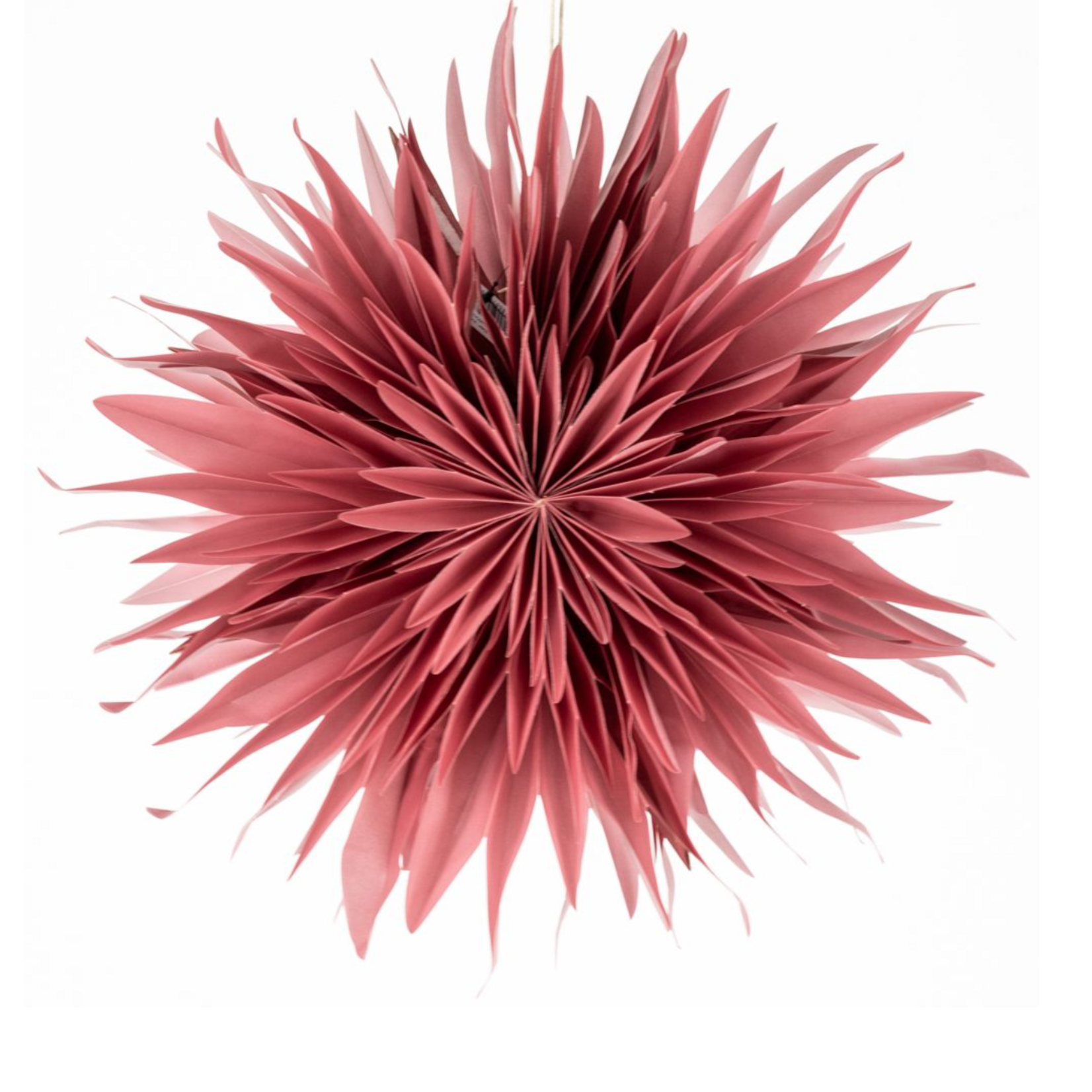 -- KERSTSTER - Snow pomegrenate 40cm met pendel