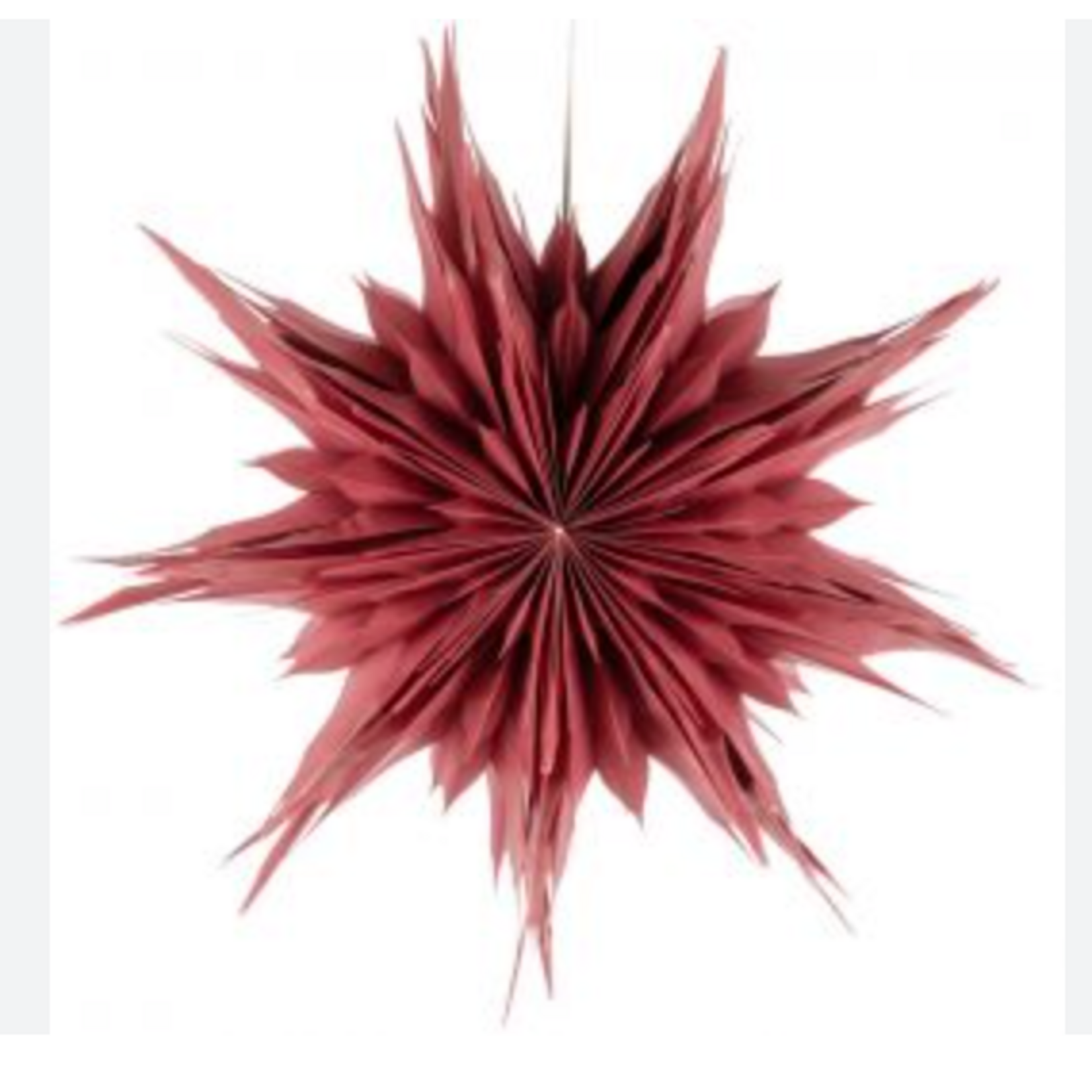 -- KERSTSTER - ICE  50cm pomegrenate  met pendel