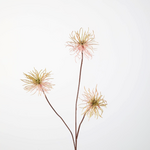 -- C&G -Thistle 82cm roze