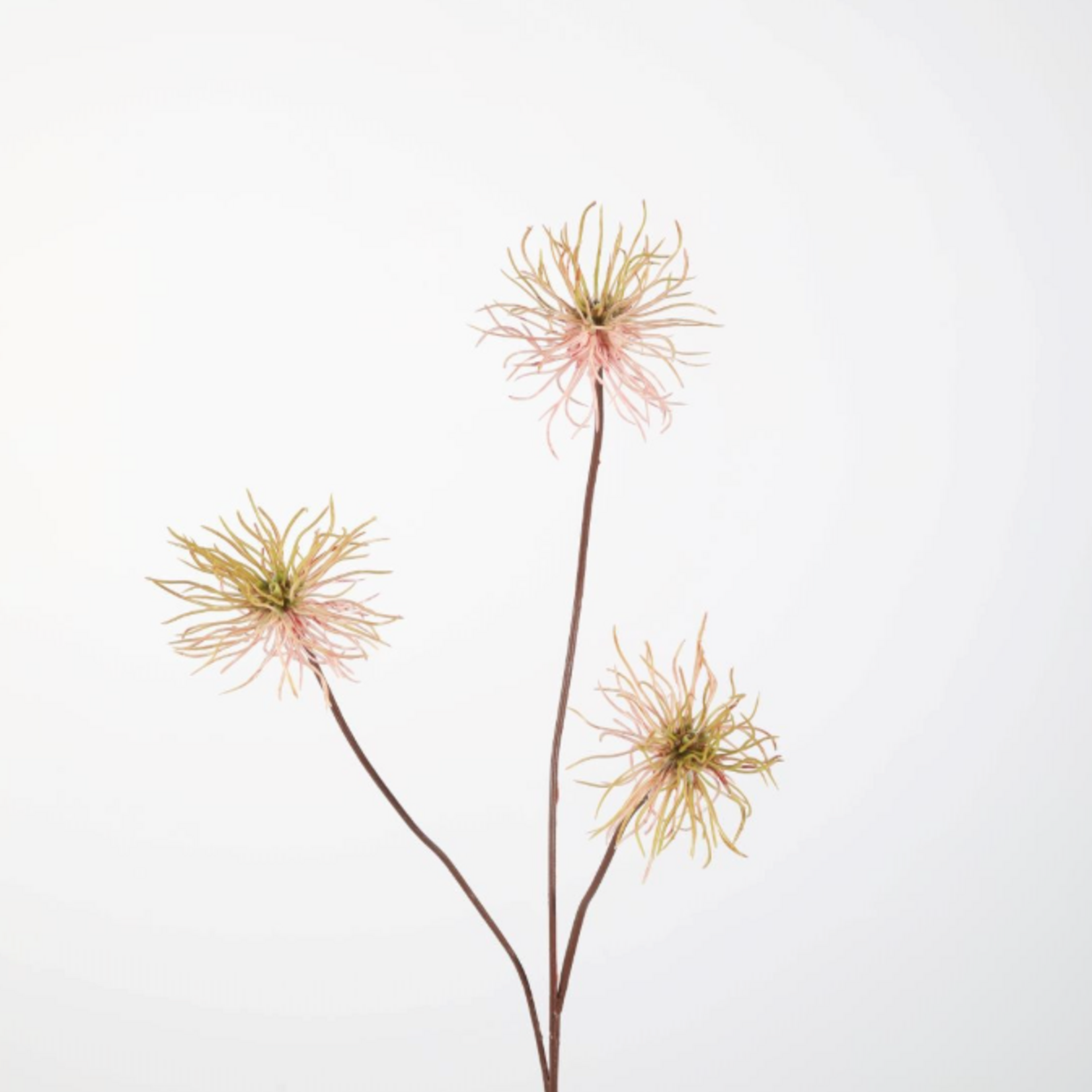 -- C&G -Thistle 82cm roze