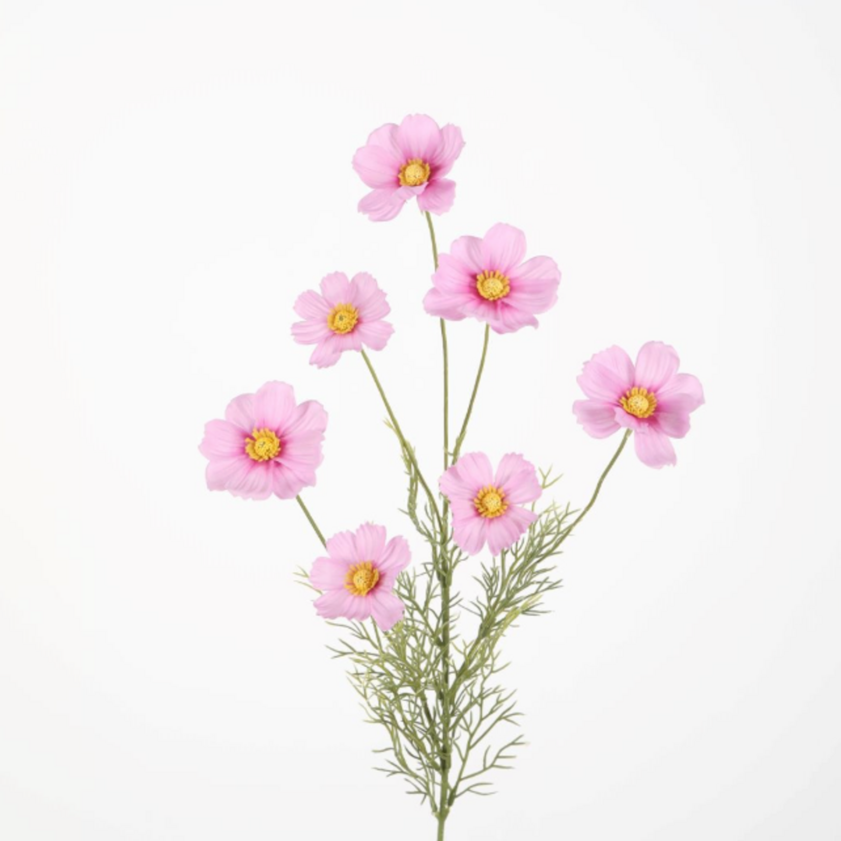 -- C&G - Cosmos spray 77cm roze