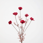 -- C&G - Cosmos spray 77cm Burgundy