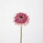 -- C&G - Chrystanthemum stem 46cm
