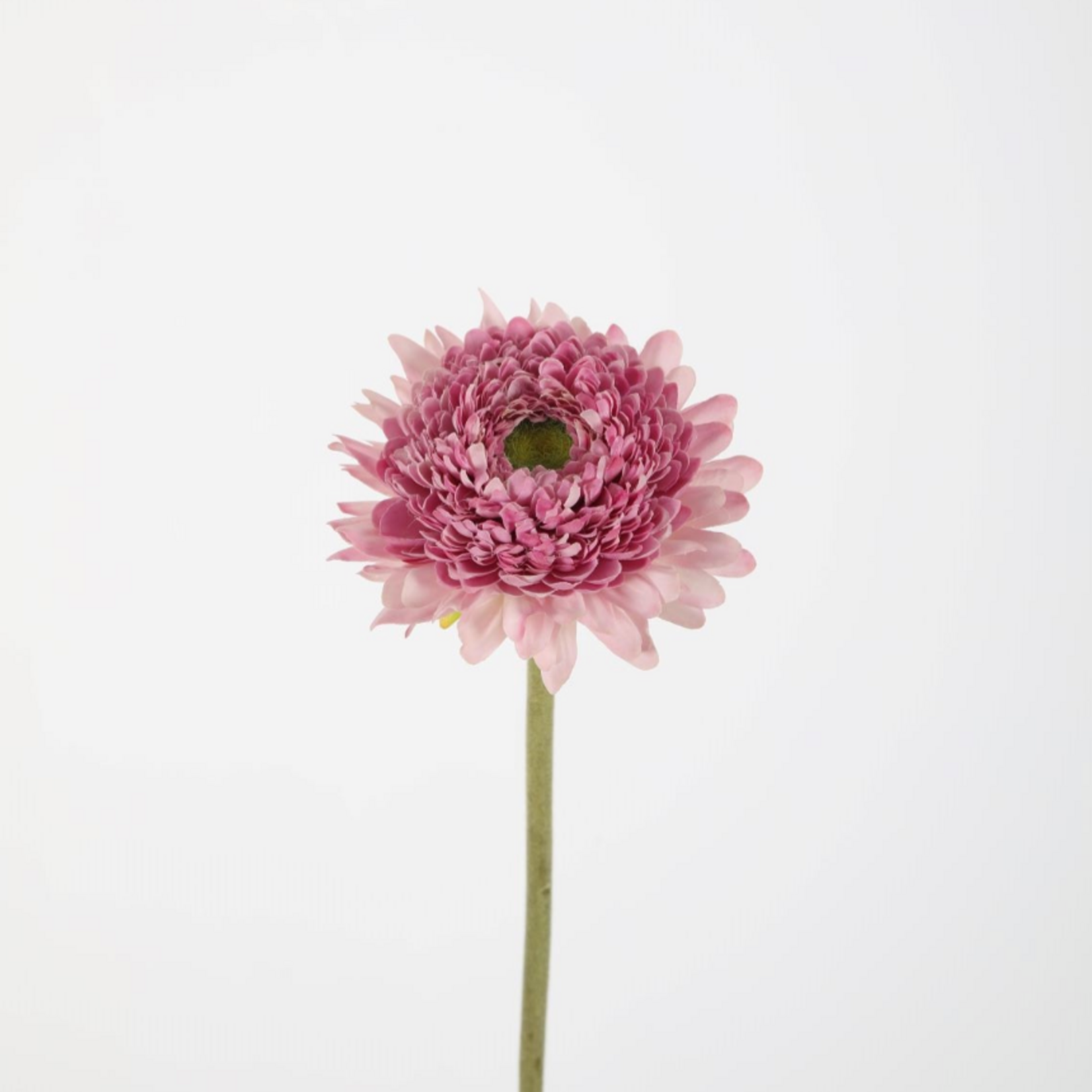 -- C&G - Chrystanthemum stem 46cm