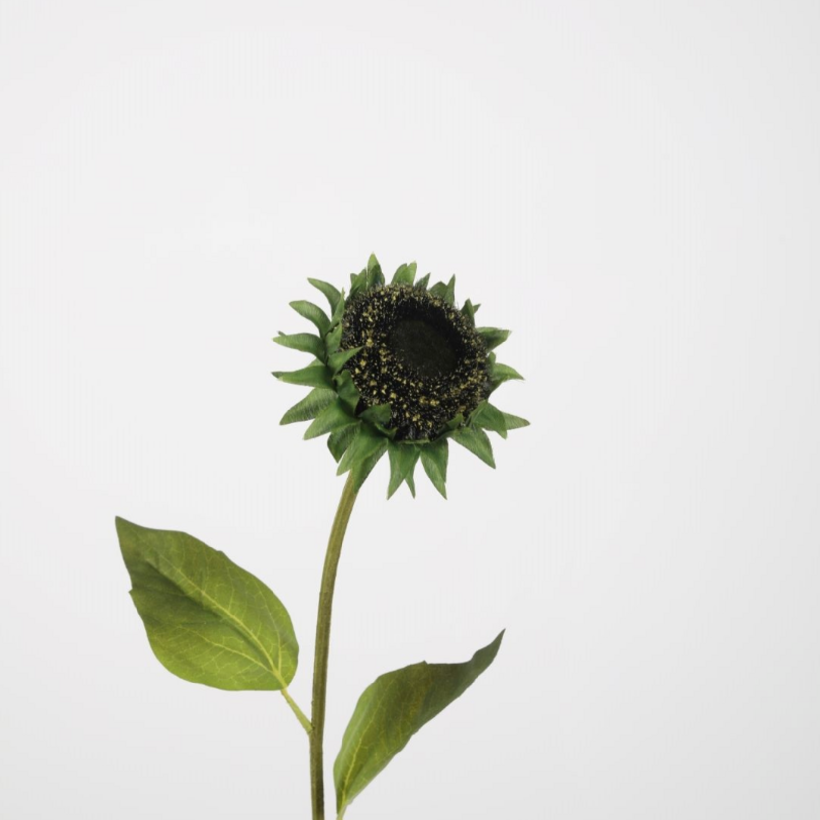 -- C&G - Sunflower Spray 76cm