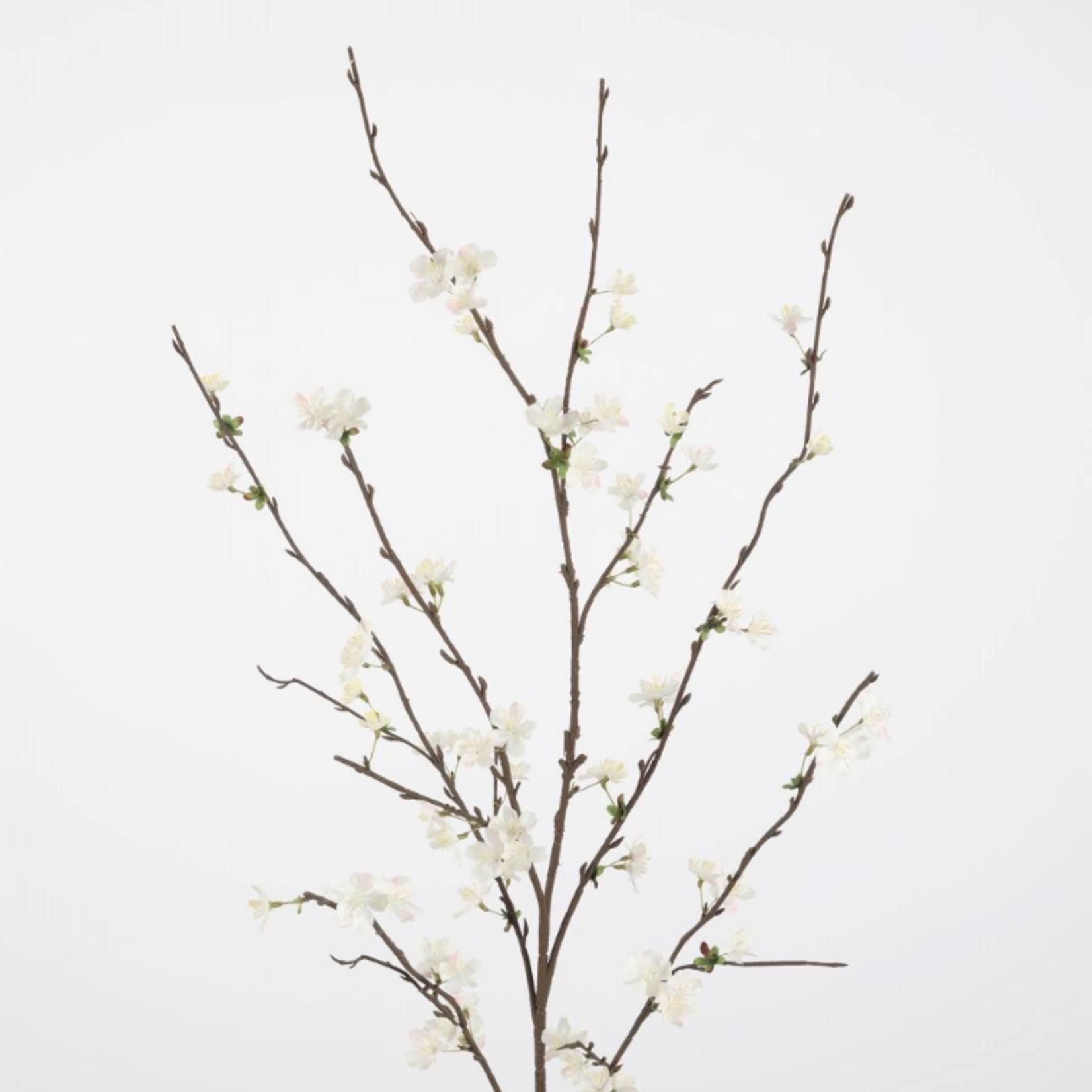 -- C&G - Sakura Blossom Spray 125cm