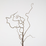 -- C&G - Twig spray 115cm