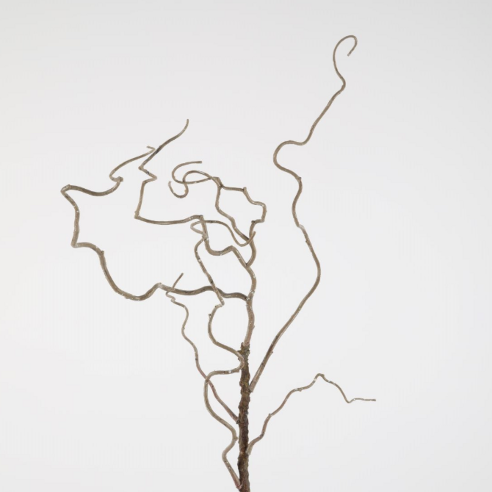 -- C&G - Twig spray 115cm