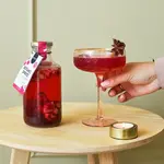 PINEUT PINEUT - Mocktail Botanic Spritz | Alcoholvrije BIO Cocktailbasis | Kers, kaneel, hibiscus & appel