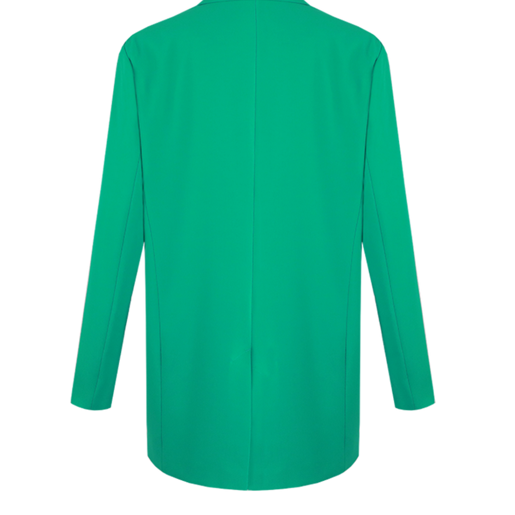 FLURESK FLURESK - Blazer Zera pu groen MAAT 42