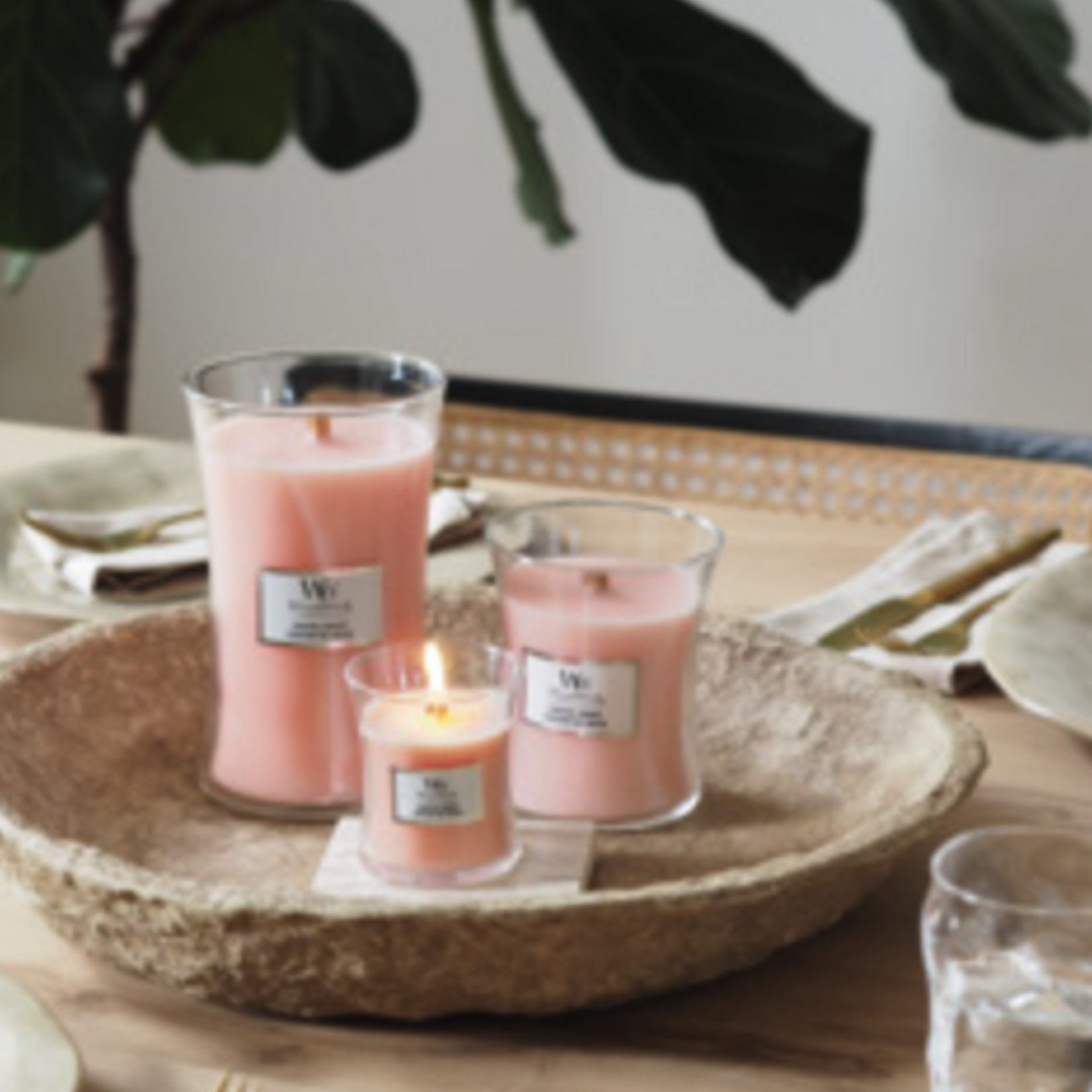 WOODWICK WOODWICK - Coastal Sunberry