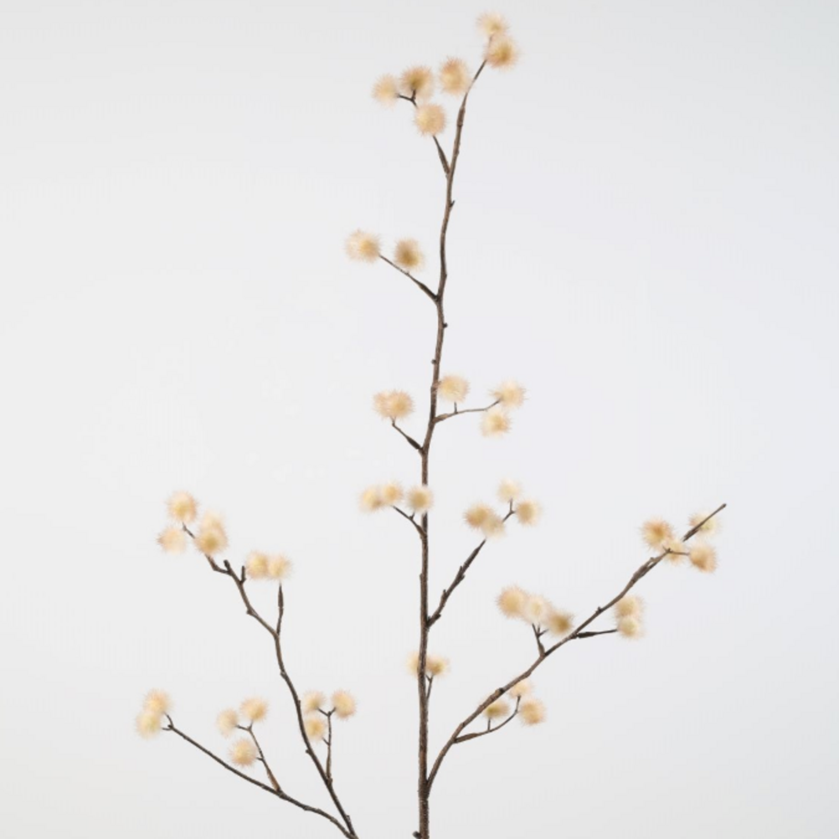 -- C&G - Pom Pom spray 102cm bruin/naturel