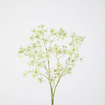 -- C&G - Gypso spray  73cm wit/groen