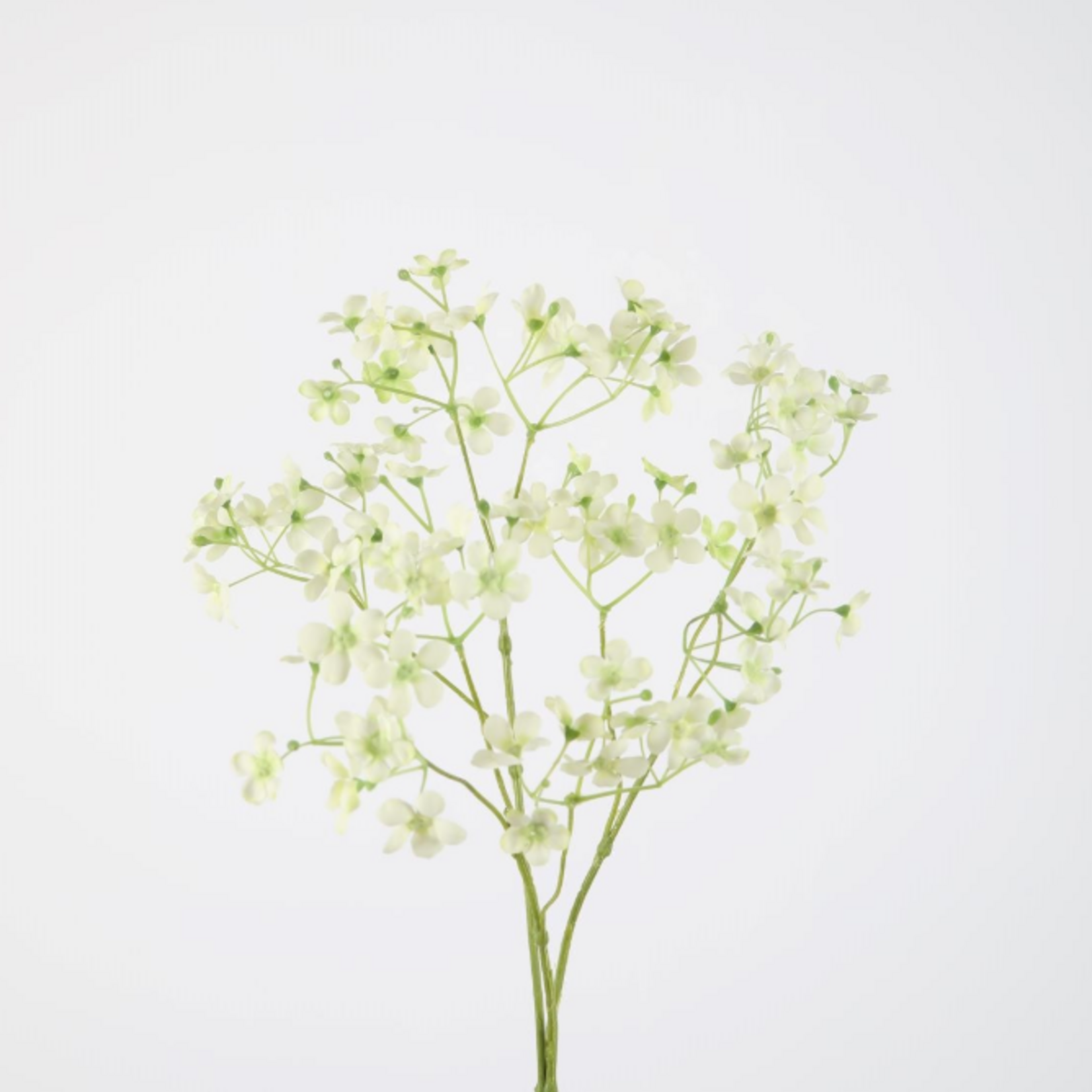 -- C&G - Gypso spray  73cm wit/groen