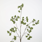 -- C&G - Berries spray 115cm groen