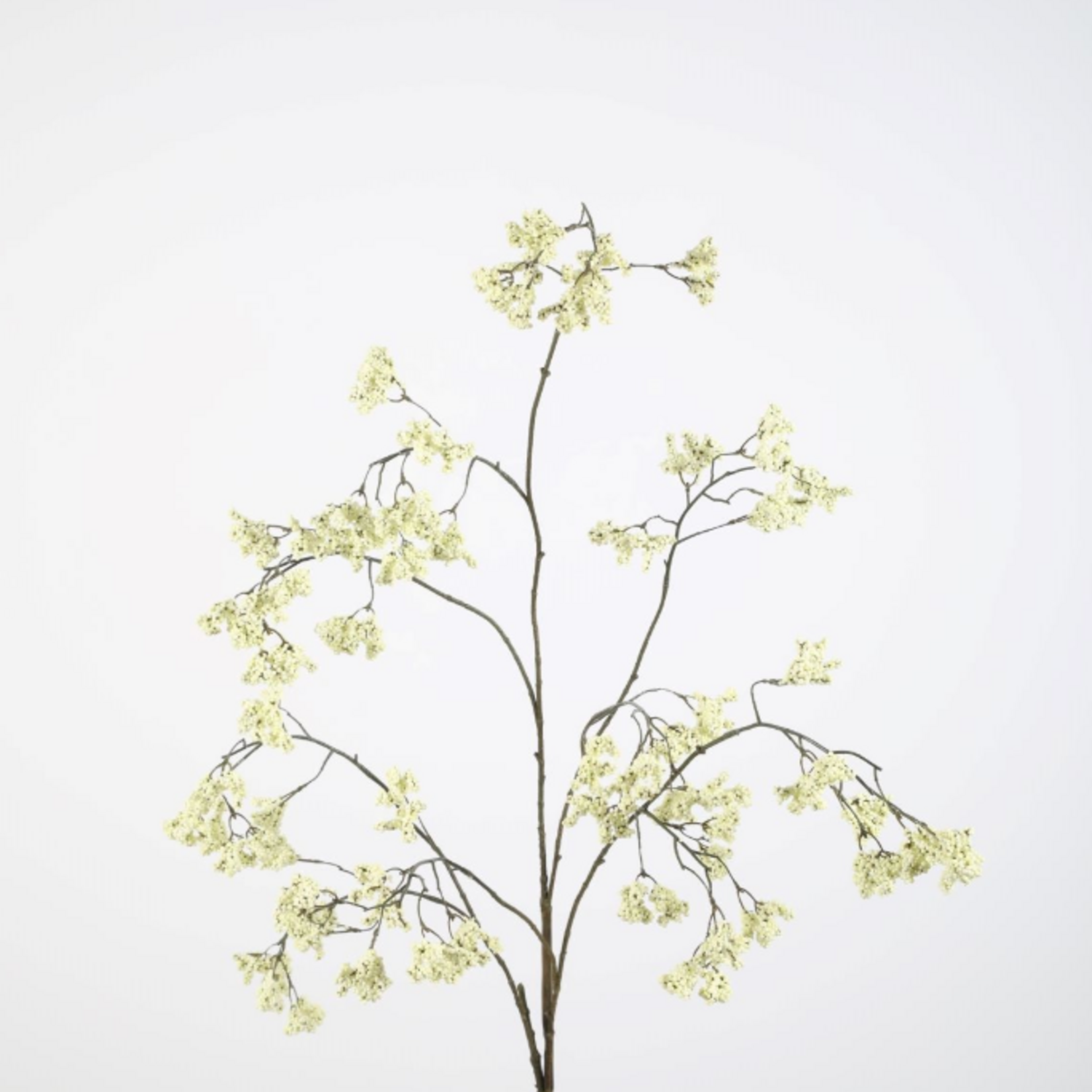 -- C&G - Berries spray 115cm wit