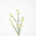 -- C&G - Wild daisy spray 72cm geel / wilde margriet
