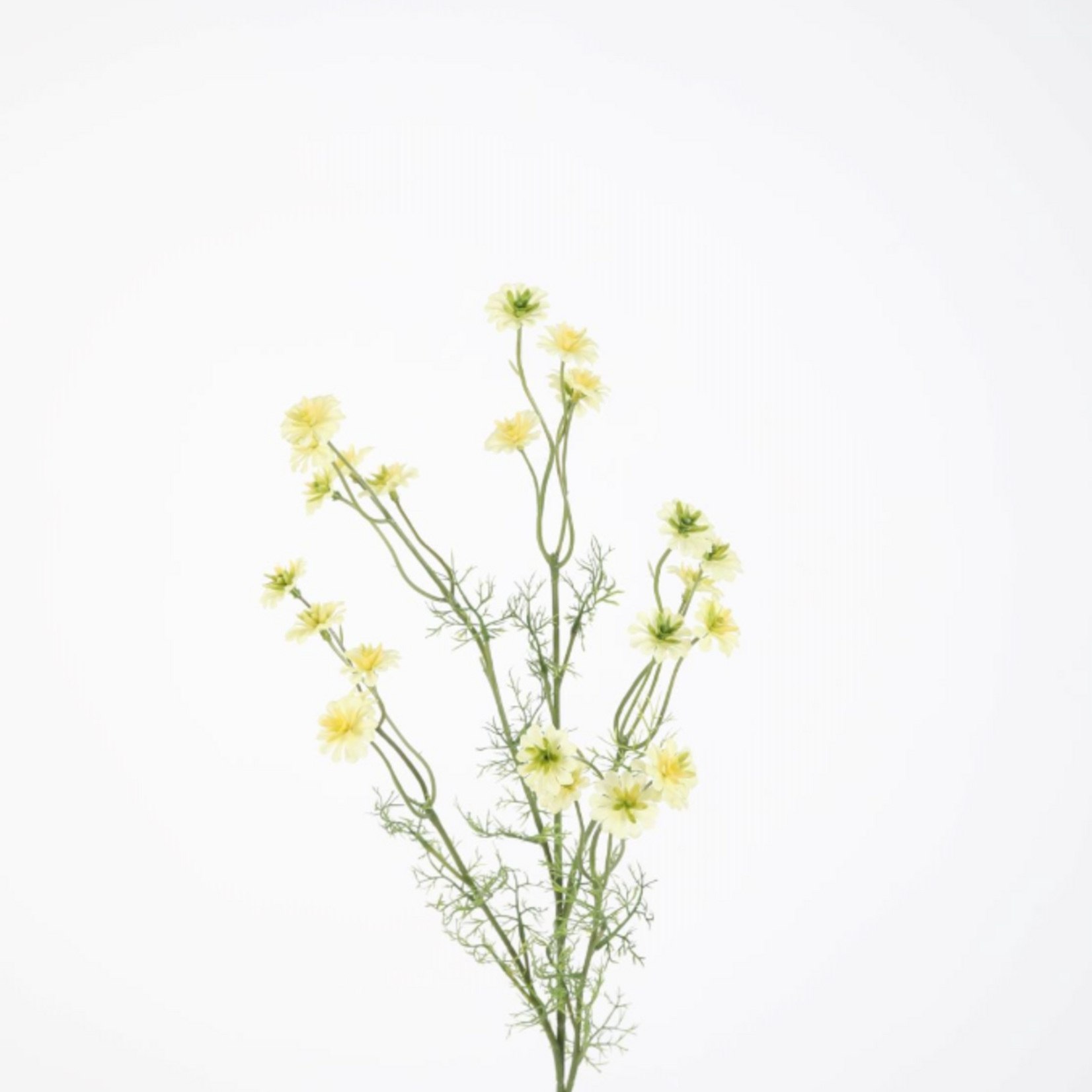 -- C&G - Wild daisy spray 72cm geel / wilde margriet