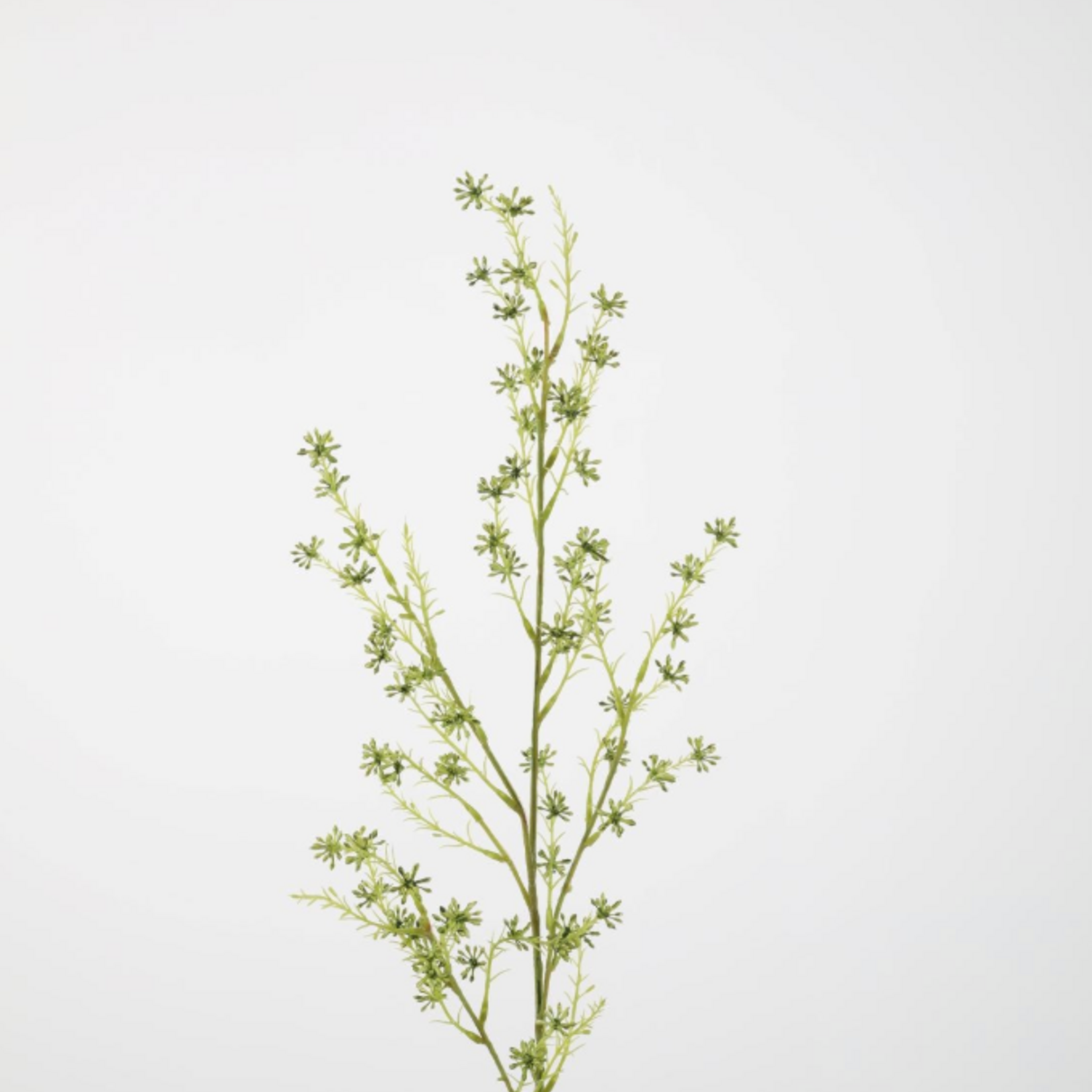 -- C&G - Berry spray 86 cm