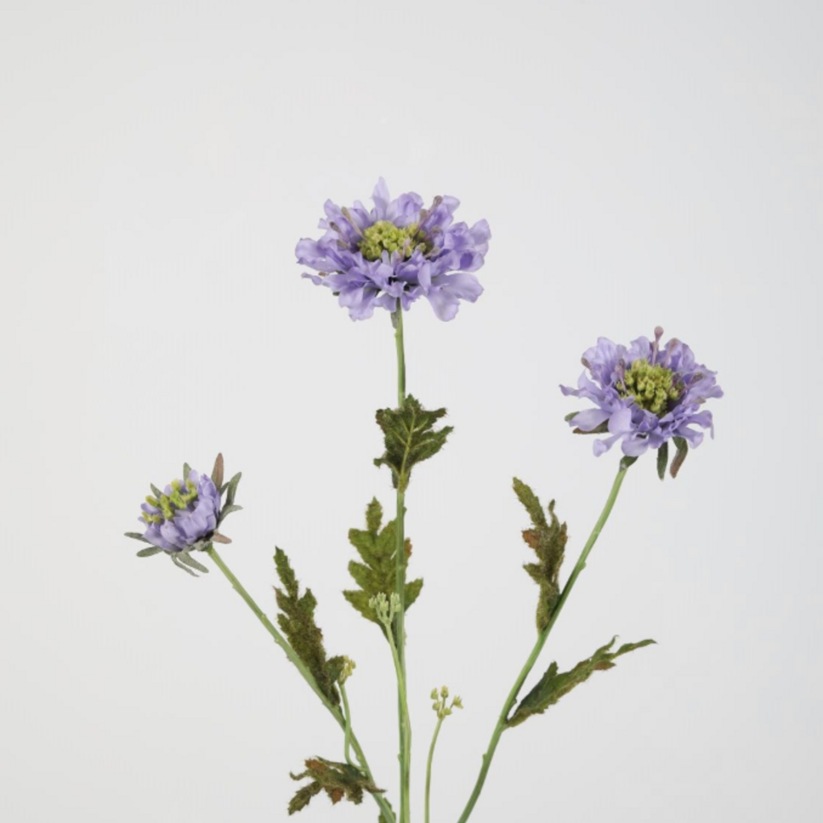 -- C&G - Scabiosa spray 66cm  lila /duifkruid