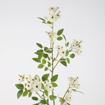 -- C&G - Rose Spray 104cm wit/groen