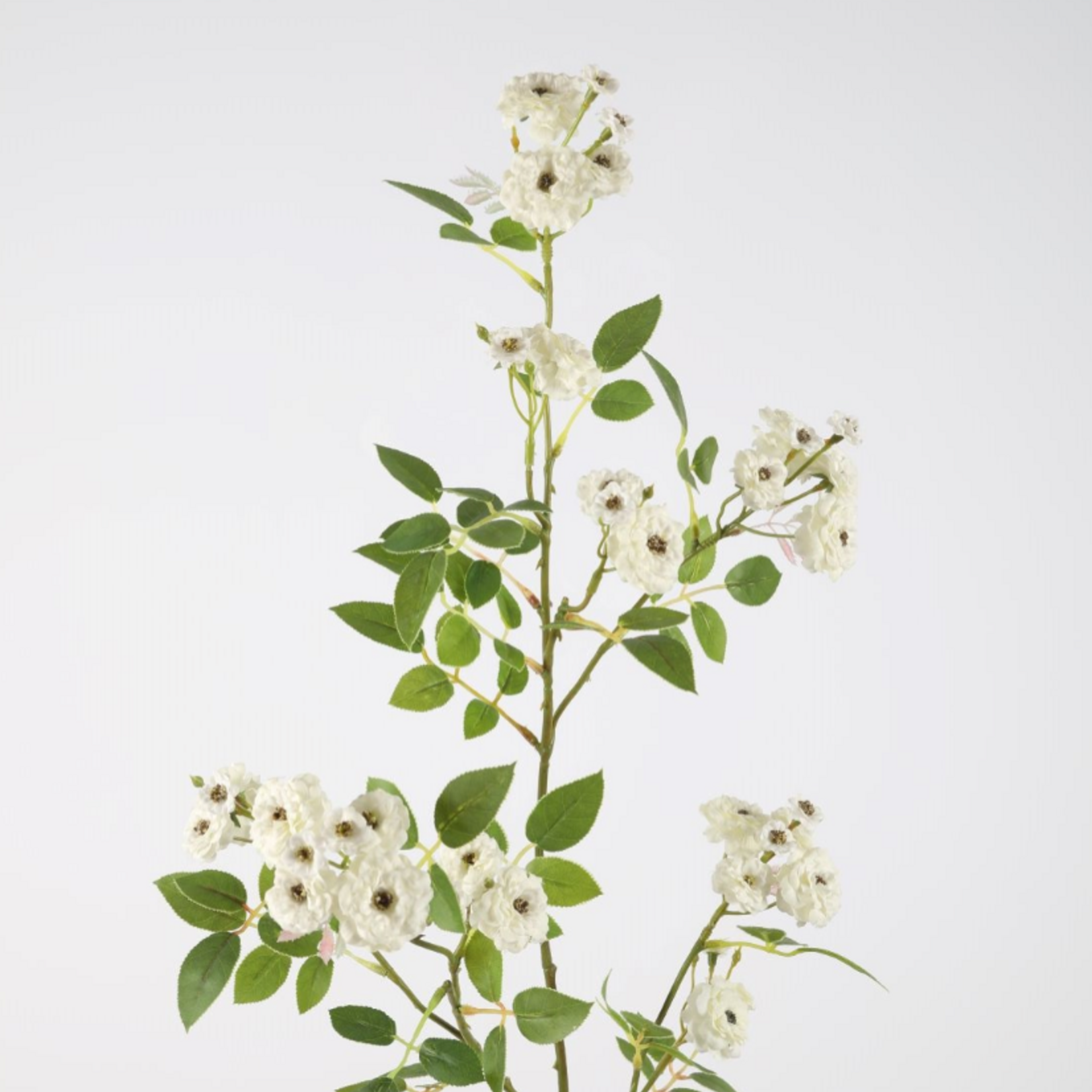 -- C&G - Rose Spray 104cm wit/groen
