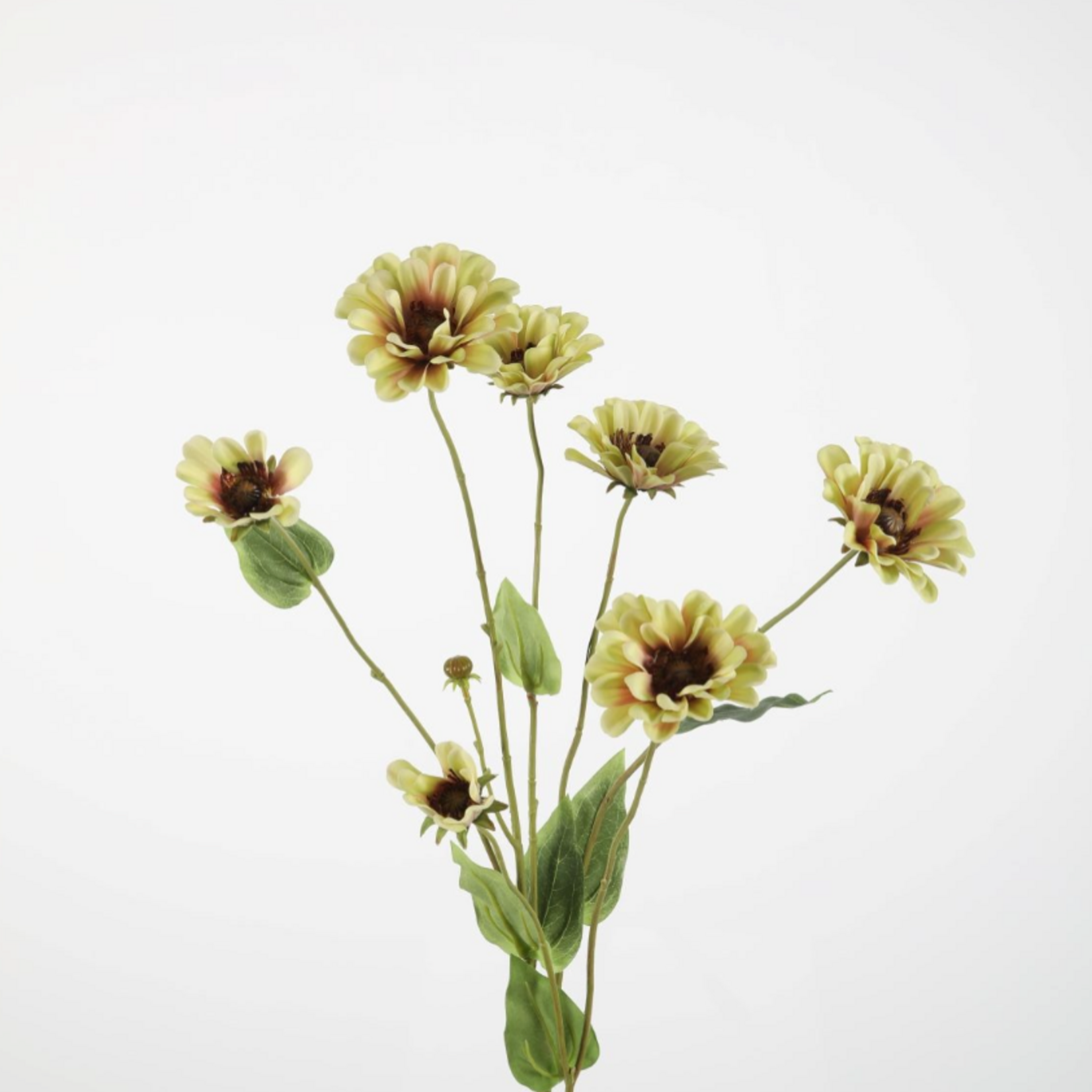 -- C&G -  Zinnia Spray 89cm Light green