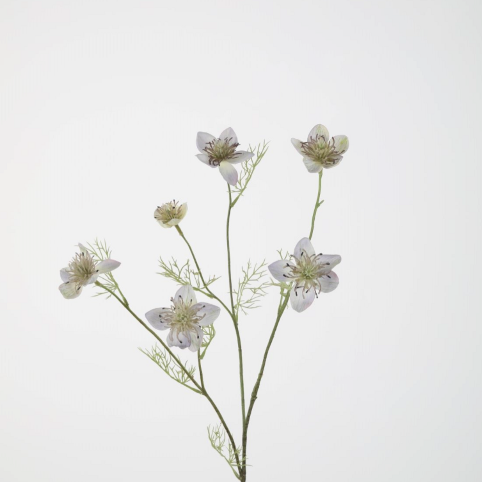 -- C&G - Nigella Spray 71cm lavender/blue
